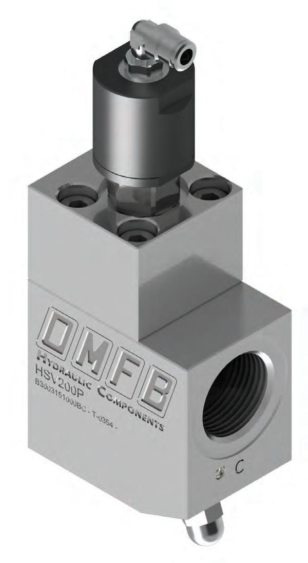 TIPPER Hoist safety valve